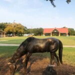 life size bronze horse statue for sale