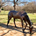 life size bronze horse statue for sale