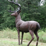 bronze whitetail deer sculpture