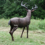 bronze whitetail deer sculpture