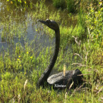 swan water fountain